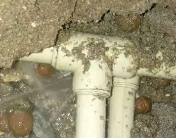 黄陵测漏水多少钱