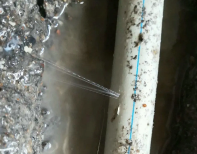 黄陵测漏水哪家好