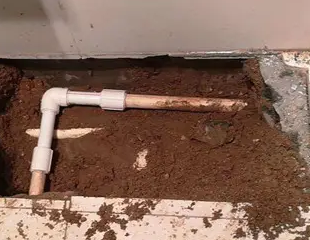 黄陵测漏水哪家好