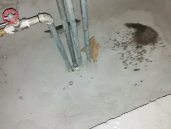 黄陵卫生间测漏水价格明细