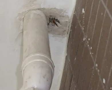 黄陵漏水检测哪家好